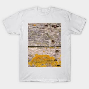 Golden Lichen on weathered wood T-Shirt